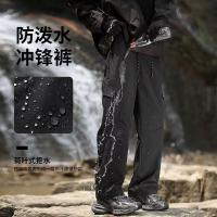 cms/erpbt/backend/web/uploads/erp/collection/images/Men Clothes/LITEWEI/EN0199484/img_b/EN0199484_img_b_2